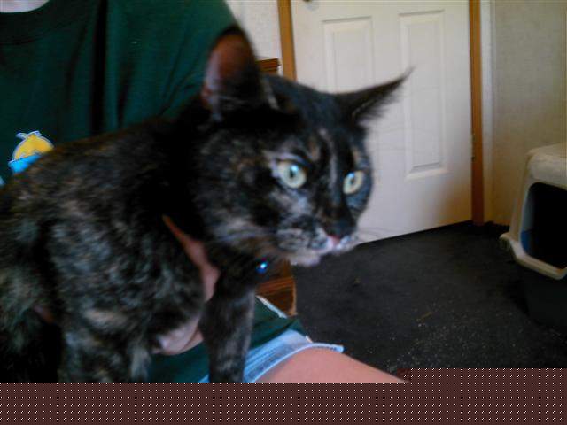 candie.jpg